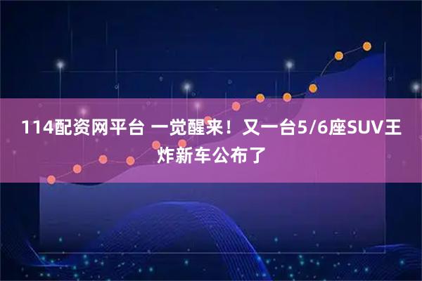 114配资网平台 一觉醒来!又一台5/6座SUV王炸新车公布了