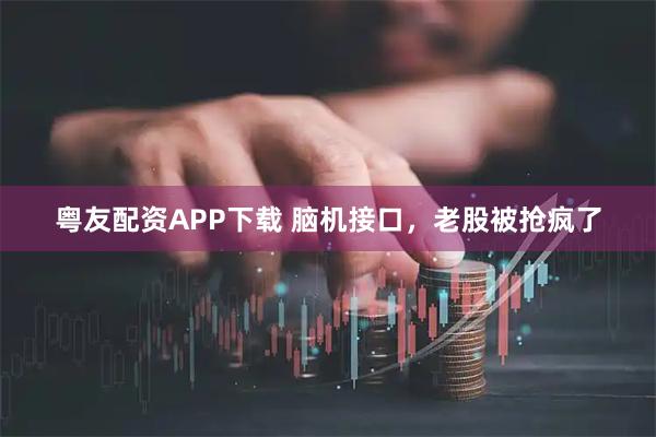 粤友配资APP下载 脑机接口，老股被抢疯了