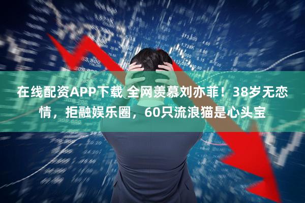 在线配资APP下载 全网羡慕刘亦菲！38岁无恋情，拒融娱乐圈，60只流浪猫是心头宝