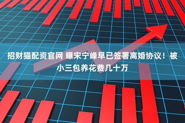招财猫配资官网 曝宋宁峰早已签署离婚协议！被小三包养花费几十万